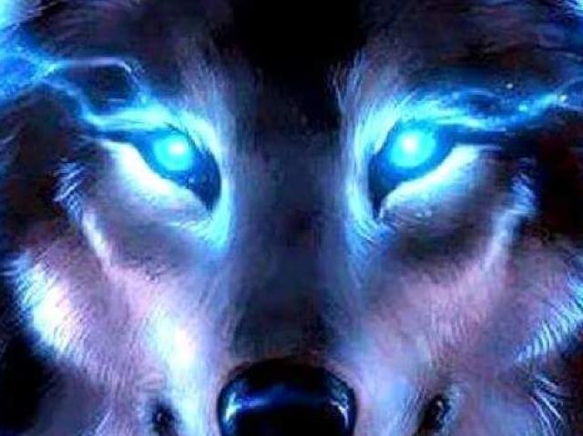 Lobo