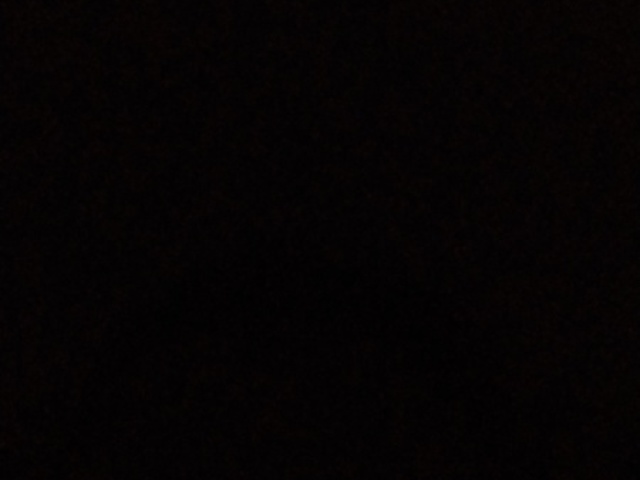 1 dia