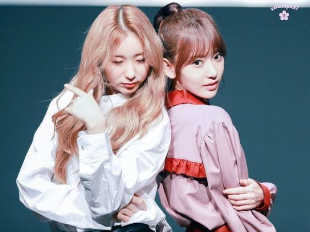 Chaeyeon e Sakura