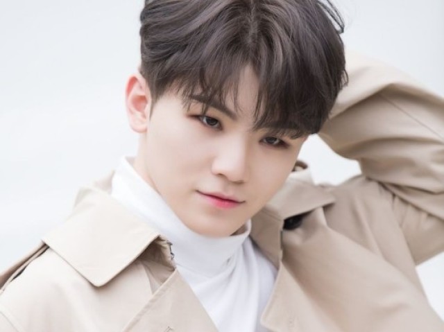 Woozi/Seventeen