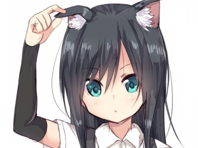 Neko :3