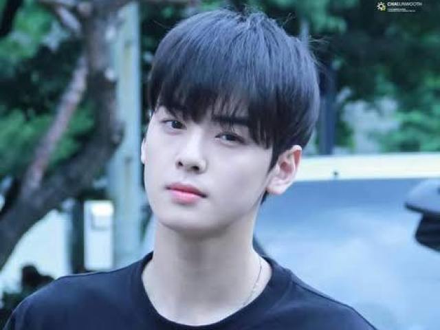 Cha Eunwoo