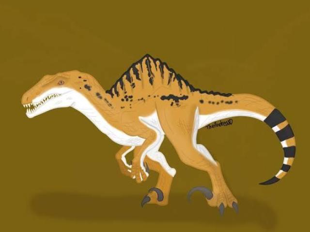 Spinoraptor