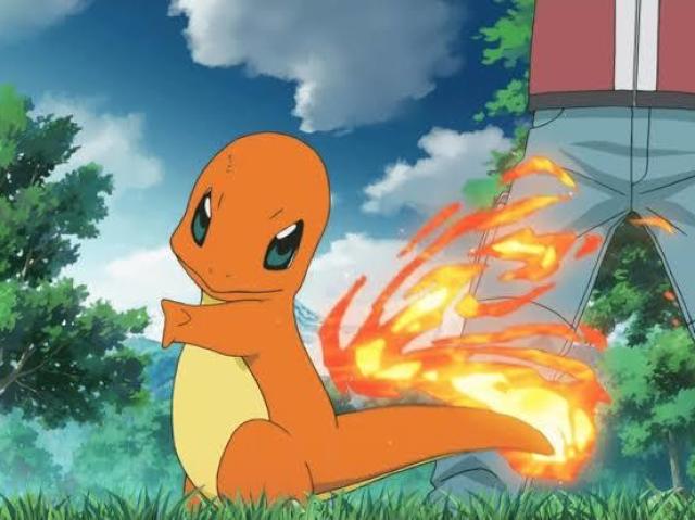 CHARMANDER