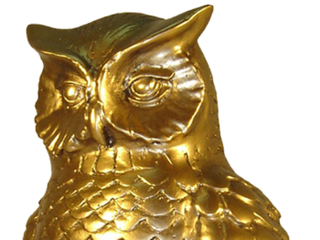 Você e uma Coruja de Ouro?