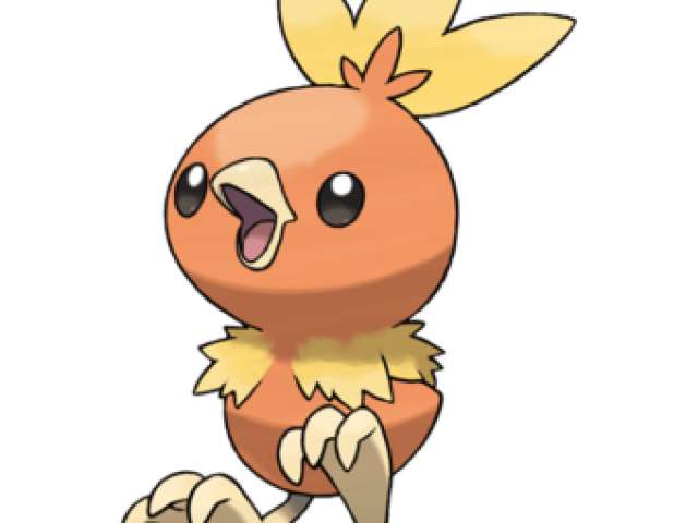 Torchic 🧡
