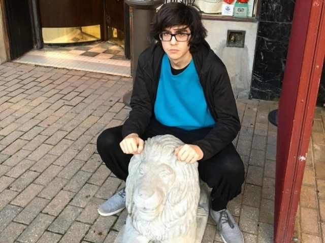 O varapau corno do Will Toledo do car seat headrest