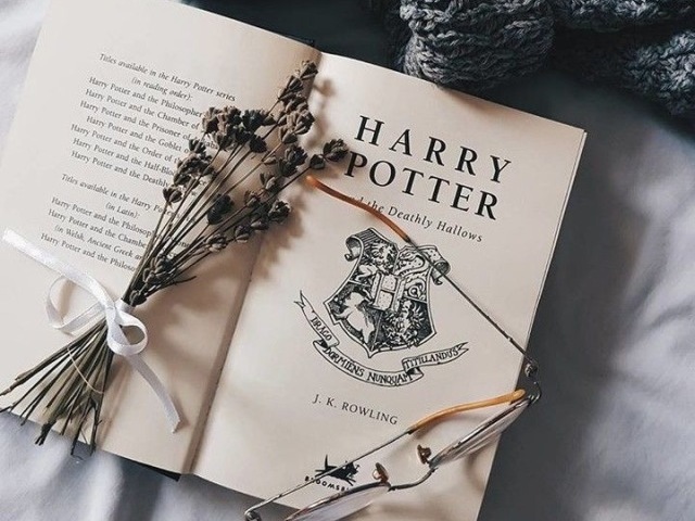 Com qual garoto você namoraria em Harry Potter? ⚡️