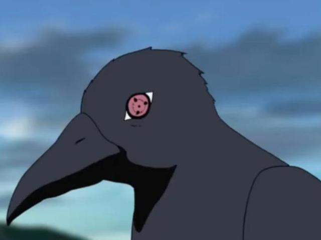 Corvo do Itachi