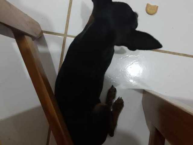 Nome scubi
❤