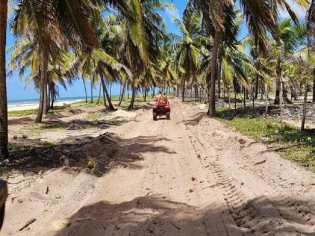 Porto de galinhas