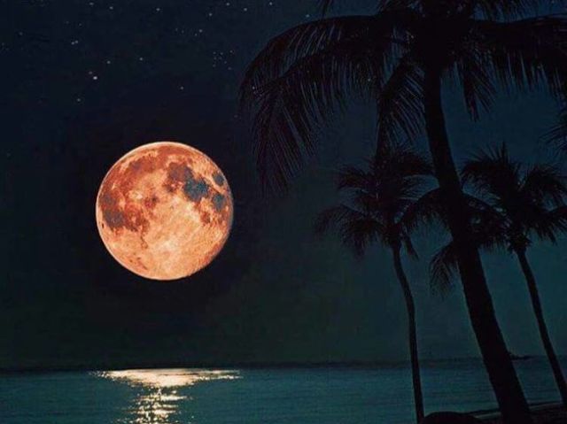 De noite em uma praia