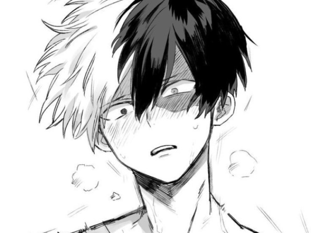 Treinar com Todoroki