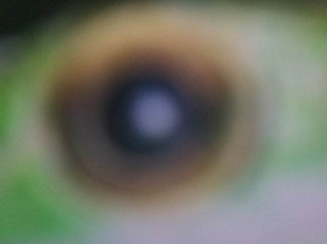 Você tem Olhos cheios ?