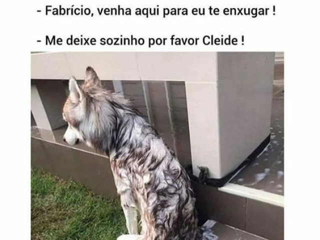 Engraçado até de mais