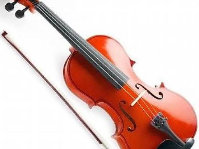 Violino