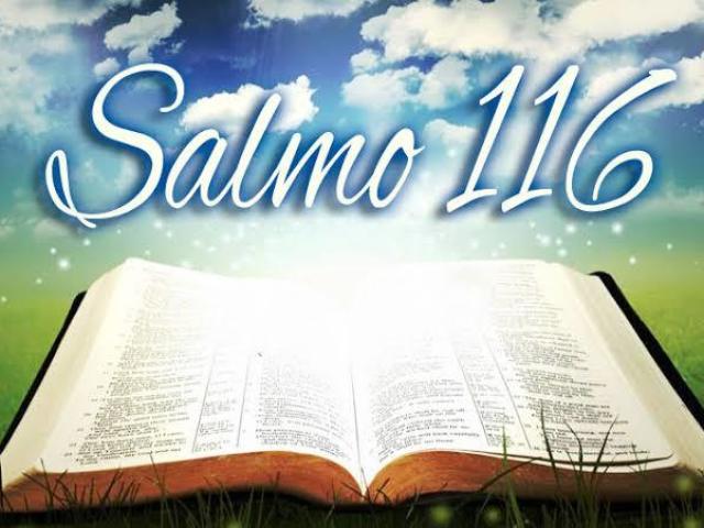 Salmos 116
1 Amo ao SENHOR, porque ele ouviu a minha voz e a minha súplica.