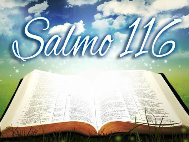 Salmos 116 
1 Amo ao SENHOR, porque ele ouviu a minha voz e a minha súplica.