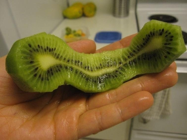 kiwi