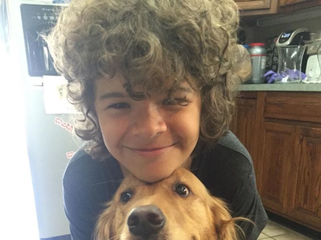 Gaten Matarazzo