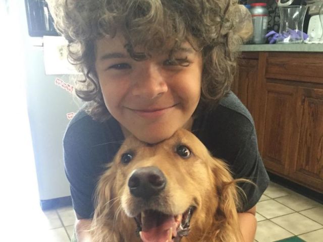 Gaten Matarazzo