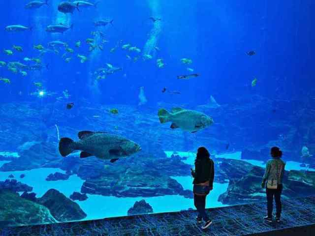 Miami Seaquarium