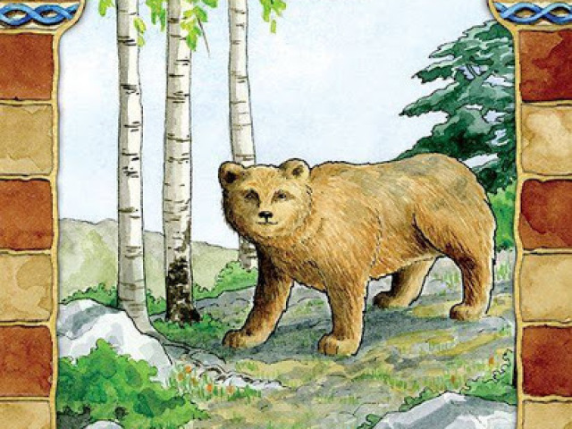 O Urso.