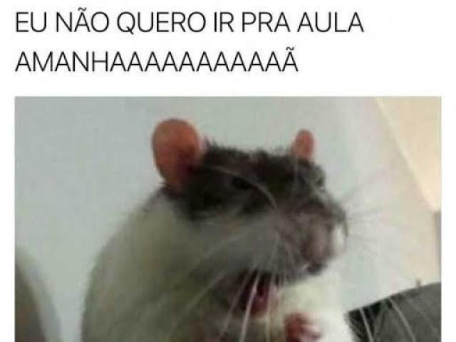 Não