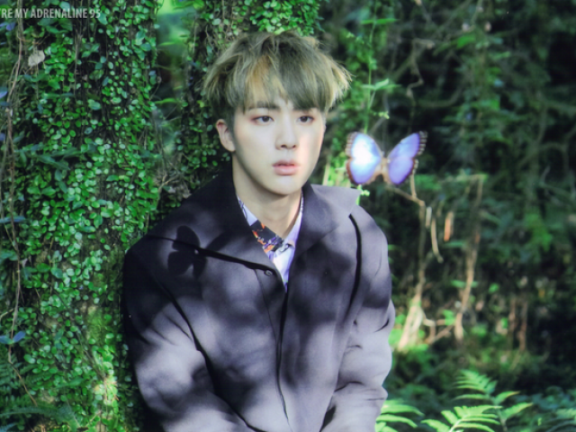 Jin