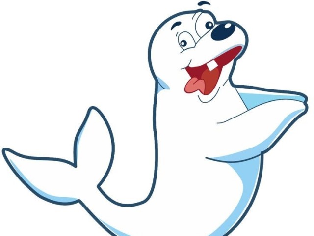 Foca