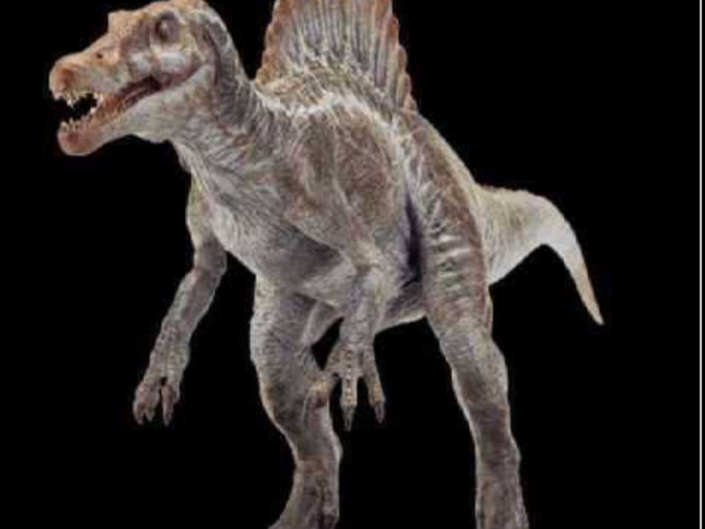 Spinossauro