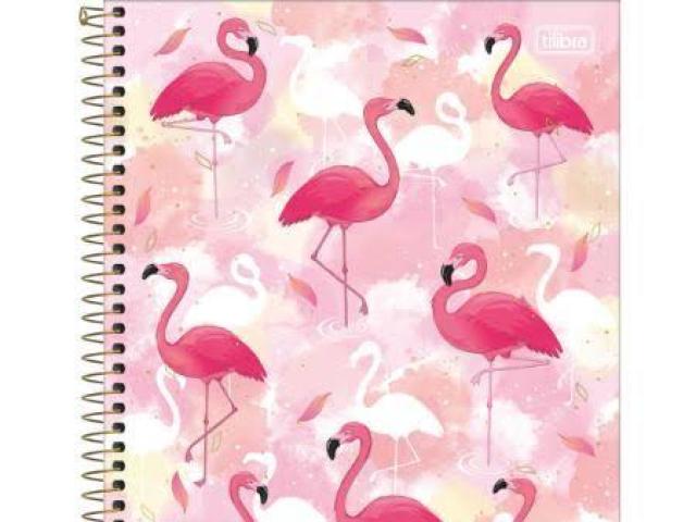 Eu amoooo flamingos então esse!!!!