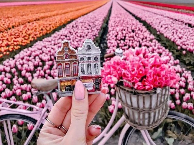 Monte sua sessão de fotos em Amsterdã!