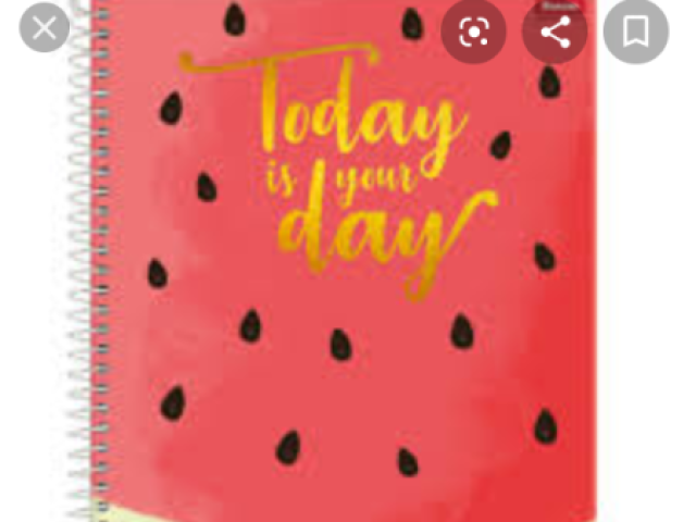 Escolha seu caderno