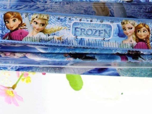 Esssa! Frozen, adoreiiii!