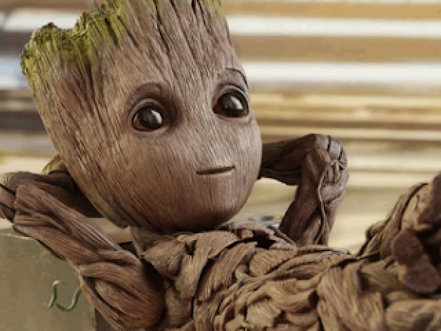 Groot