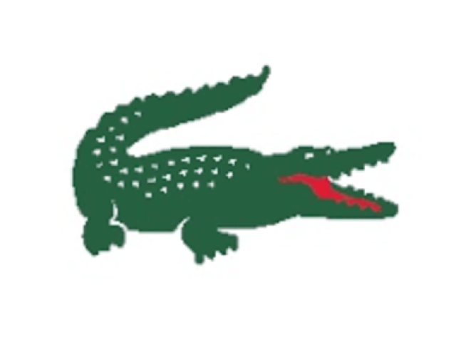 Crocodilo