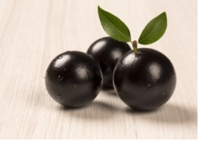 Jabuticaba