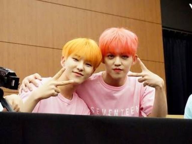 S.Coups e Hoshi