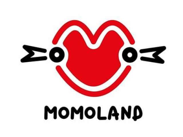 momoland 👌