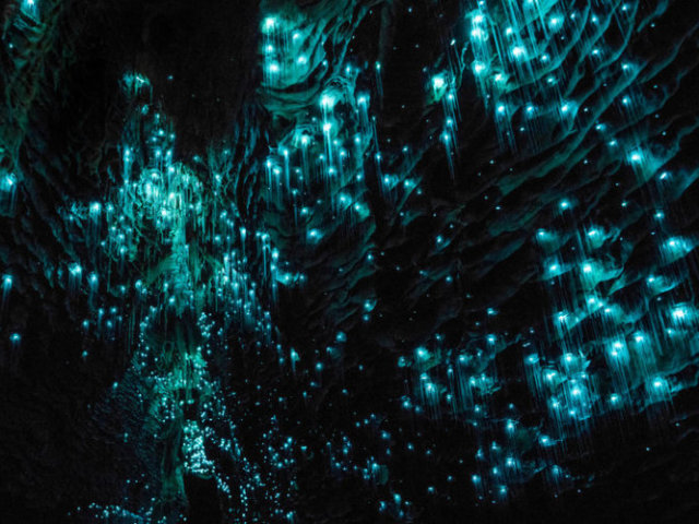 Glowworm Caves, Nova Zelândia