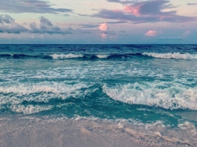 Em meio a serenidade do mar.