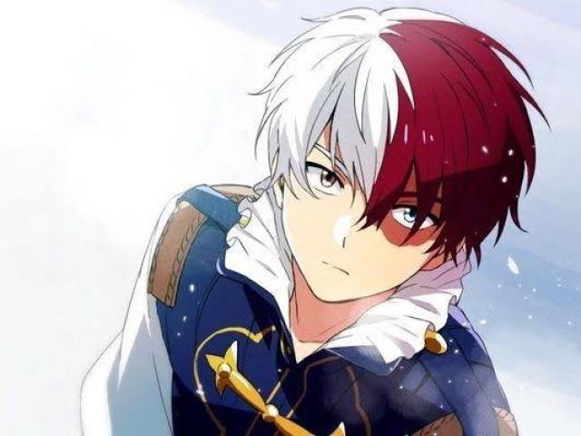 Shoto Todoroki