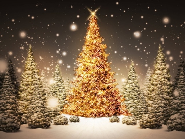 Monte sua árvore de Natal