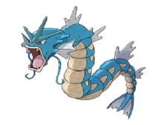 gyarados