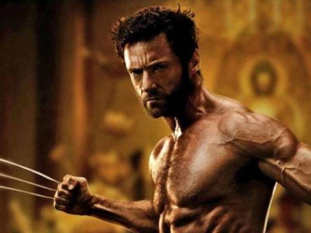 wolverine