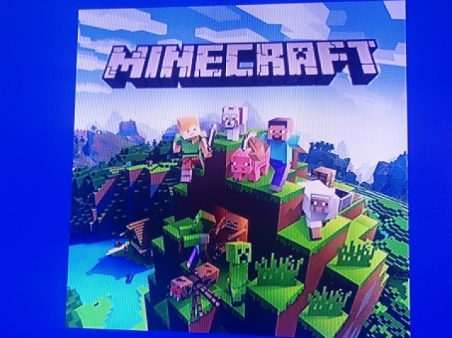 Minecraft