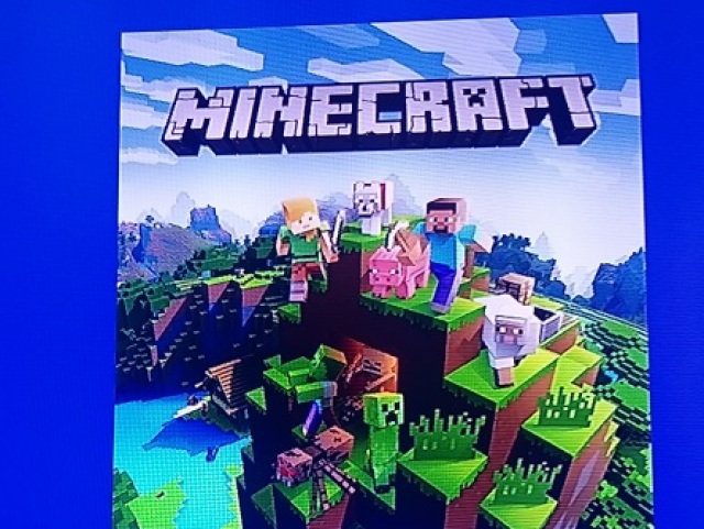 Minecraft