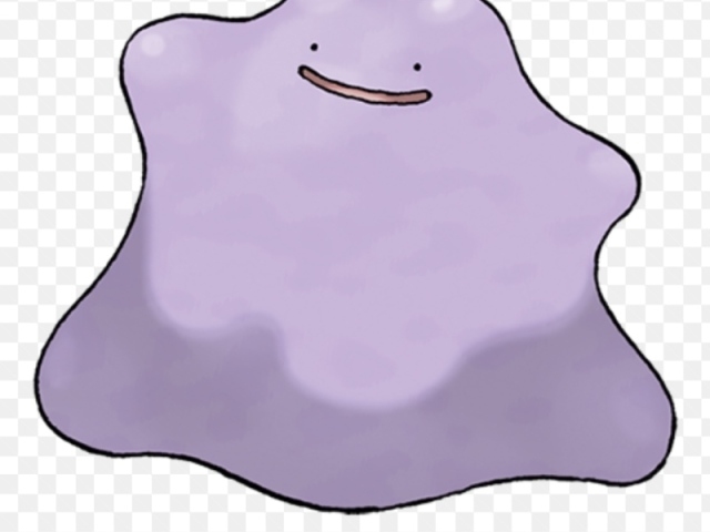 Ditto