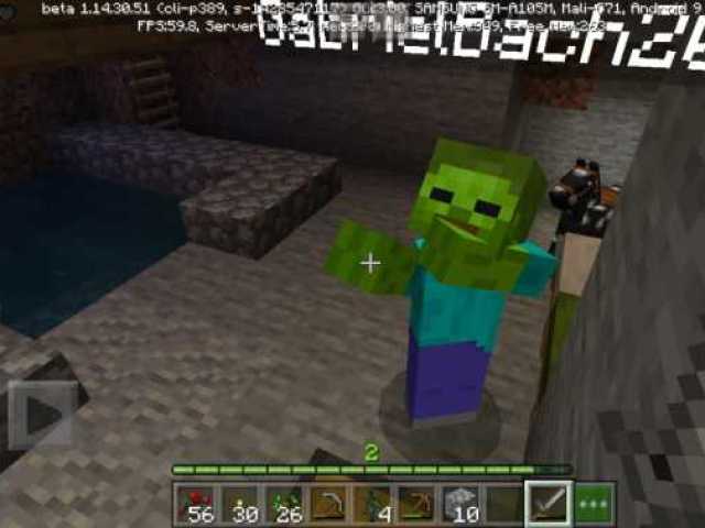 Minecraft